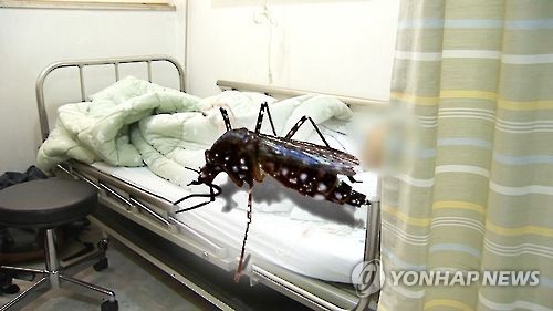 국내 7번째 지카 감염자 발생..잠시 입국한 과테말라 거주자 - 연합뉴스