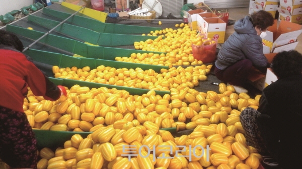 성주 이미지