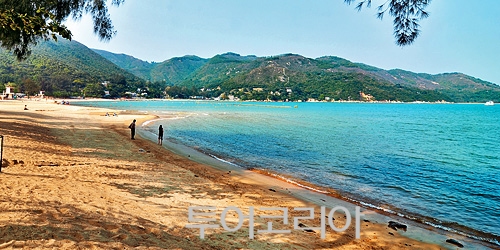 다이나믹트래블 이미지