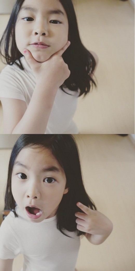하루꽃 이미지