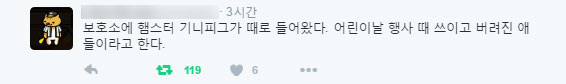 '어린이 행사 끝나고 폐기물과 함께 처리되는 동물들' 충격 - YTN