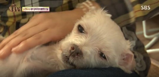 미녀공장 이미지