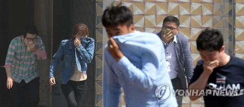 가리시오 이미지