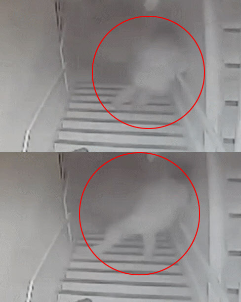 친구CCTV 이미지