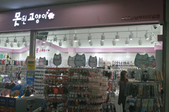 못된고양이 이미지
