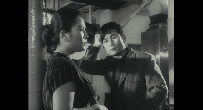 TAN FILM 이미지