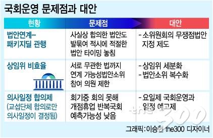 19대국회 운영상 문제점과 대안