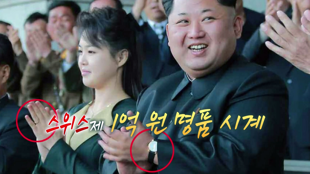김정은의 스위스 사랑, 이제 '짝사랑'으로.. - YTN