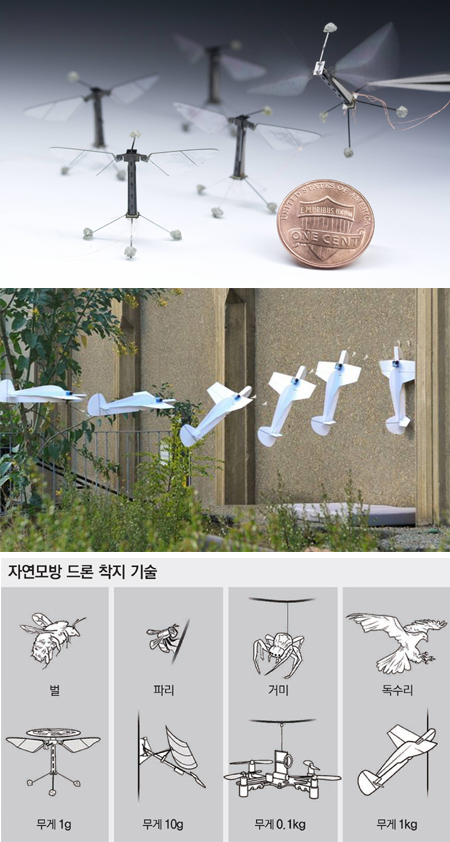 드론날다 이미지