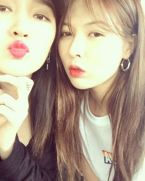 지아 이미지