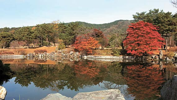 연못155 이미지
