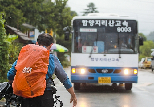 머리여행 이미지