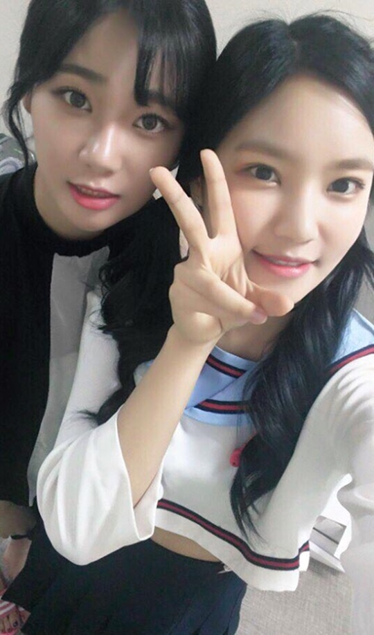 베리 이미지
