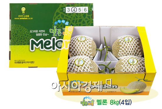 농업회사법인 곡성멜론주식회사 이미지