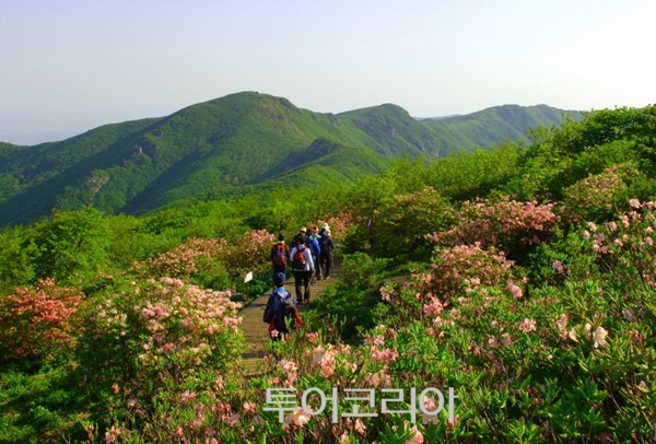 영주 이미지