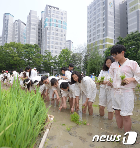 법인마들 이미지