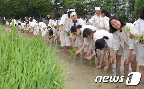 법인마들 이미지