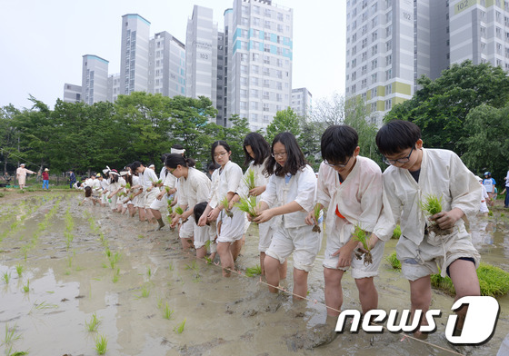법인마들 이미지