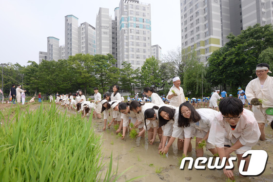 법인마들 이미지