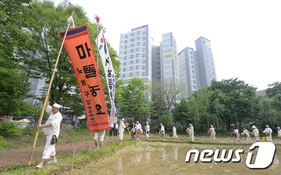 법인마들 이미지