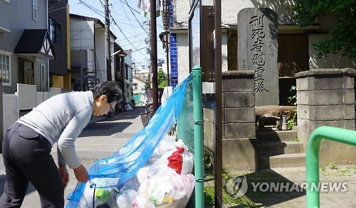 더미도 이미지
