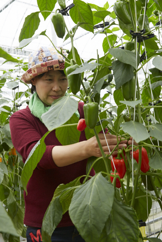 라온축산유통 이미지