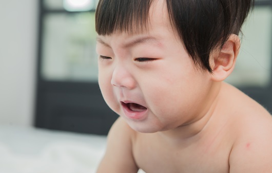아이사진 이미지