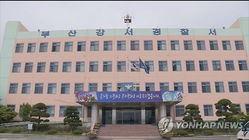 트럭 동원, 수확 앞둔 농작물 싹쓸이한 채소상인들 덜미 - 연합뉴스