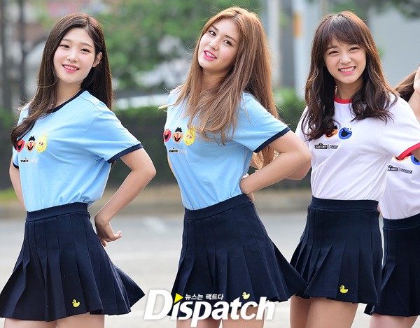 세정 이미지