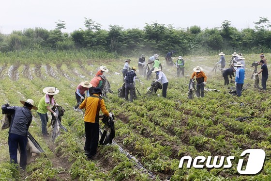 보성유기질비료 이미지