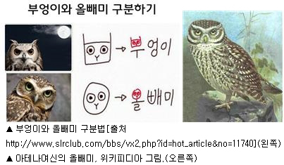 미네르바의부엉이 이미지