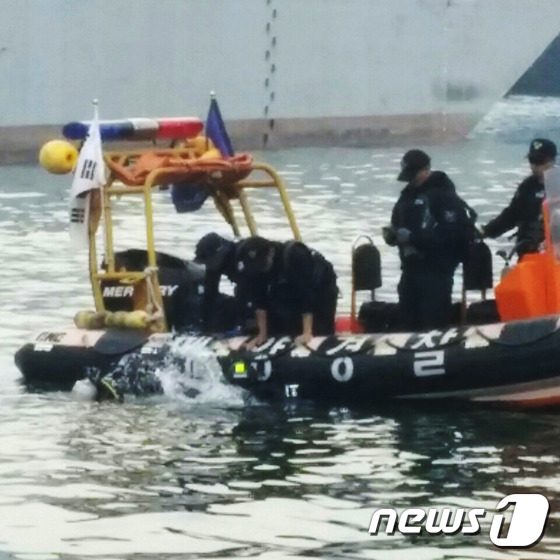 울산대교 인근 변사체, 28일 투신한 신씨로 확인(종합) - 뉴스1
