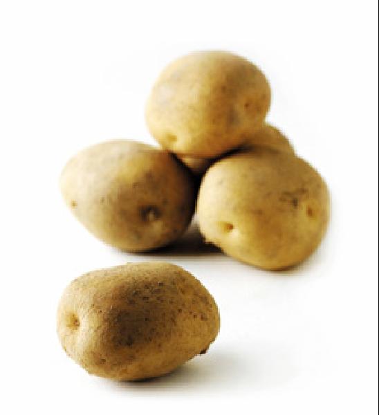 [헬스조선]모든 식재료는 냉장 보관해야 신선하다고 착각하는 경우가 많은데, 오히려 냉장 보관했다가 맛이 변하거나 상하는 것이 있다/사진=조선일보 DB