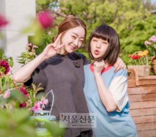 공심이 이미지