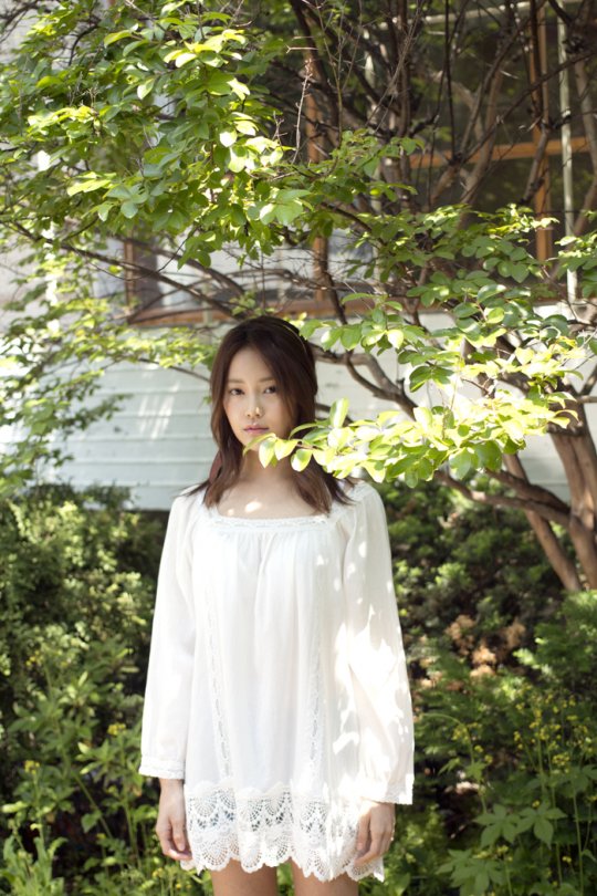 대신유화 이미지