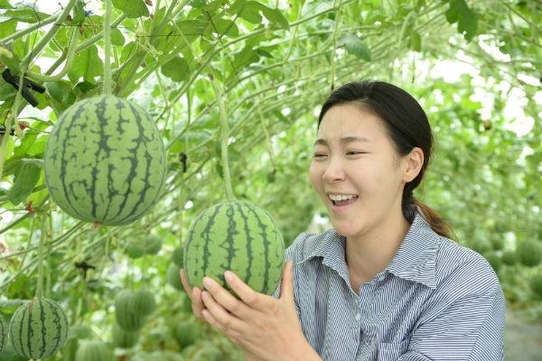 슈퍼브릭스 이미지