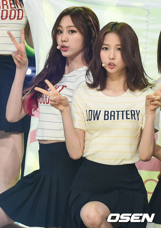 미모 이미지