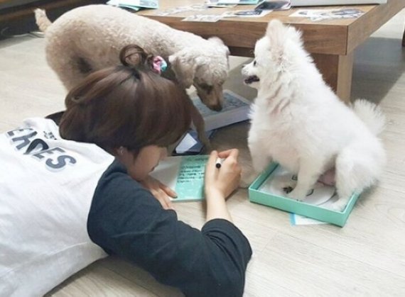 두언니헤어 이미지