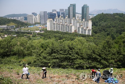 도시;숲;그리고 이미지