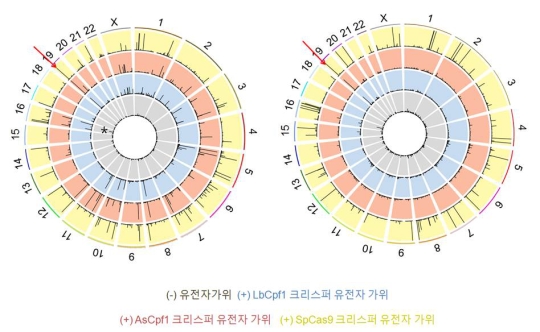 '표적유전자만 싹둑' 新유전자가위 정확성 입증받다 - 머니투데이