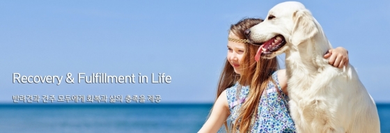 플럼라인 이미지