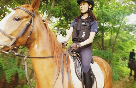 서현장비 이미지
