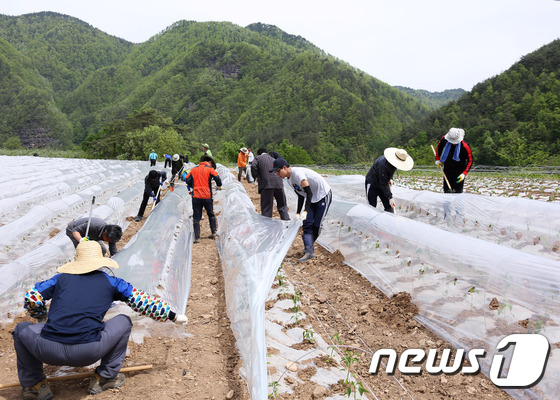 영양군농업경영인 이미지