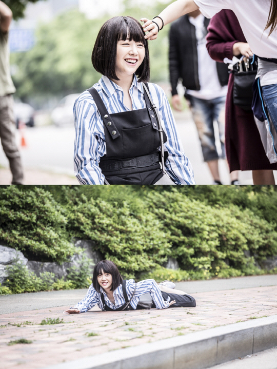 공심이 이미지