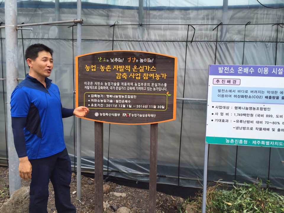 '온실가스 줄이고 소득은 늘고'..제주 망고농가와 정부의 상생 - 뉴스토마토