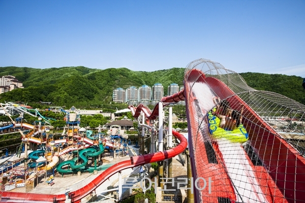 치킨프라이데이 이미지