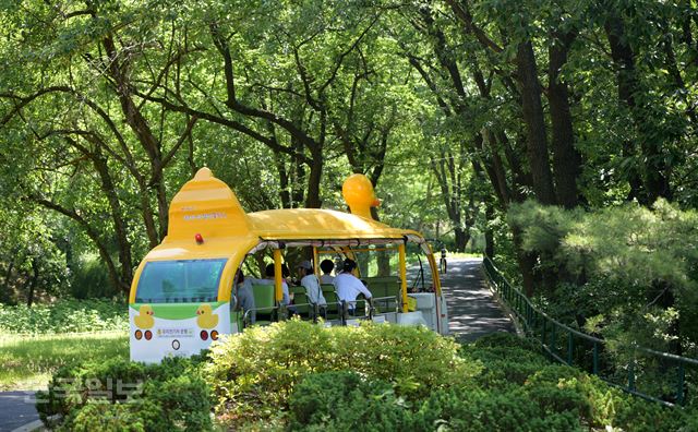 동산화원 이미지