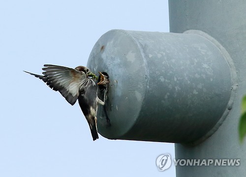둥지하우스 이미지
