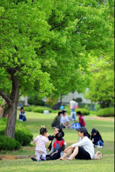 [헬스조선]일부 지역에 폭염주의보가 내려지고 대부분 지역에서 자외선 지수가 '매우 높음' 단계를 보이고 있는 가운데, 주말에 야외 활동을 계획한다면 햇빛  화상(일광화상)에 주의해야 한다/사진=조선일보 DB