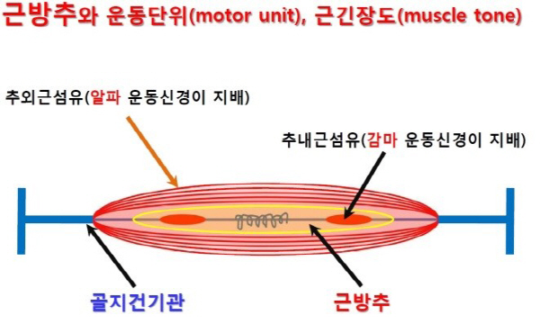모터솔루션 이미지